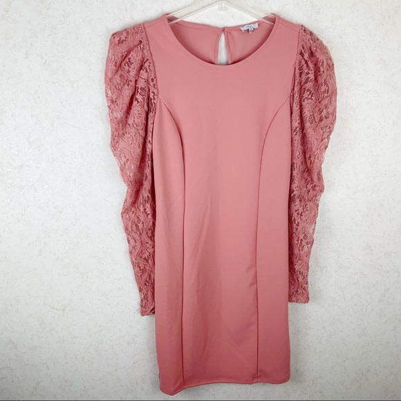 iris Dresses & Skirts - Iris floral lace balloon sleeves blush pink dress romantic